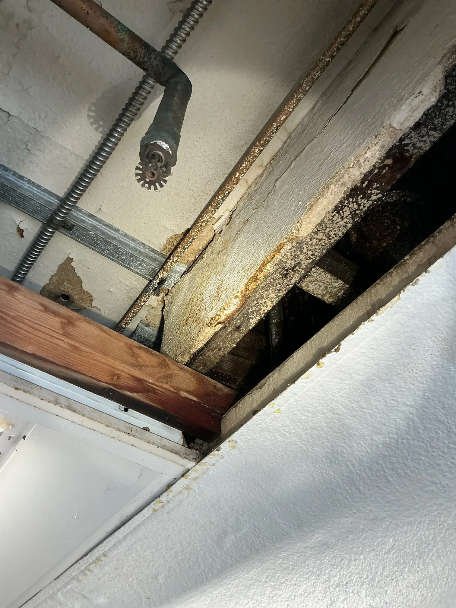 Recent Service project photo from the local service area