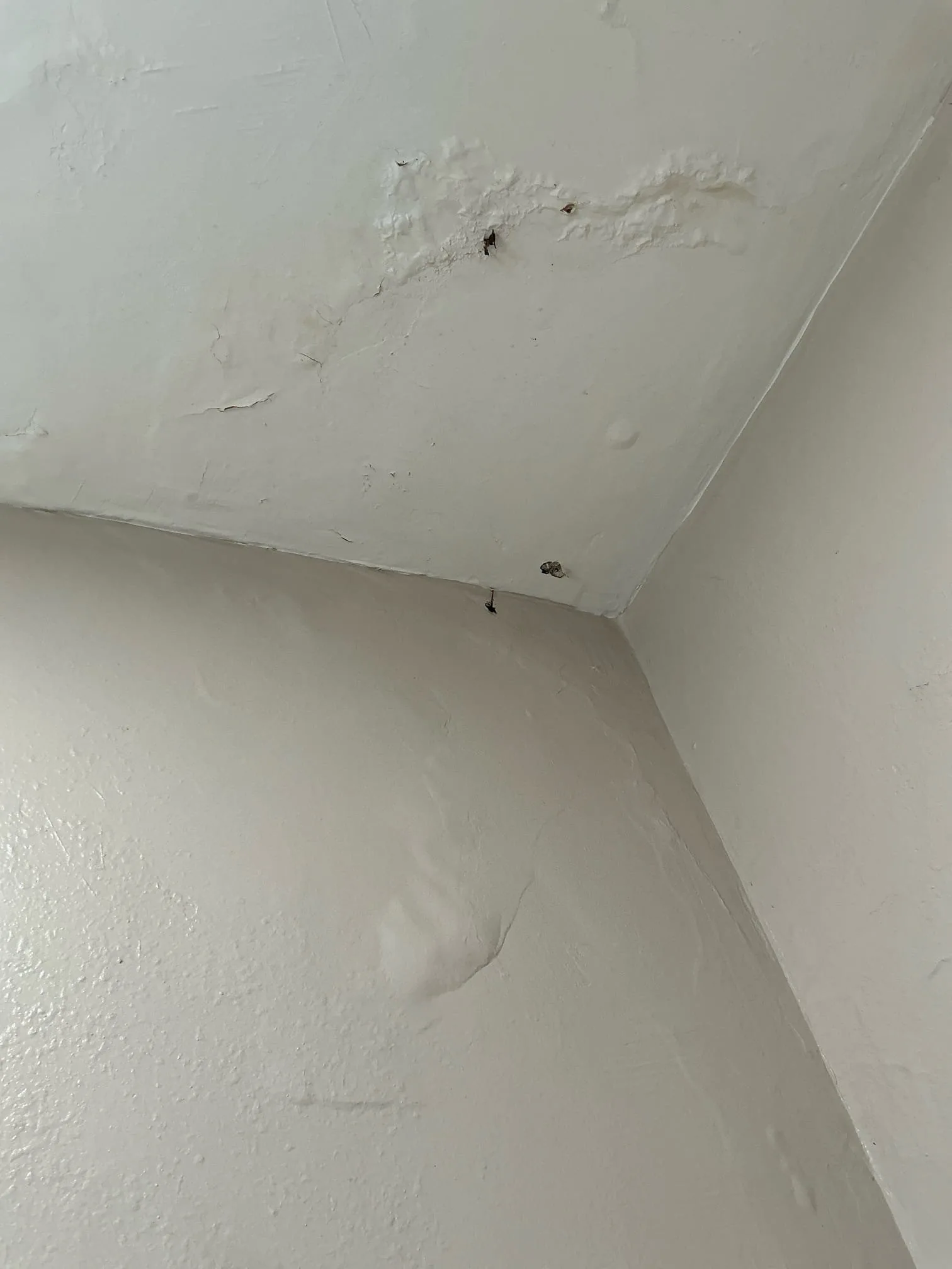 Interior Leak project photo from Los Angeles, California, 90020