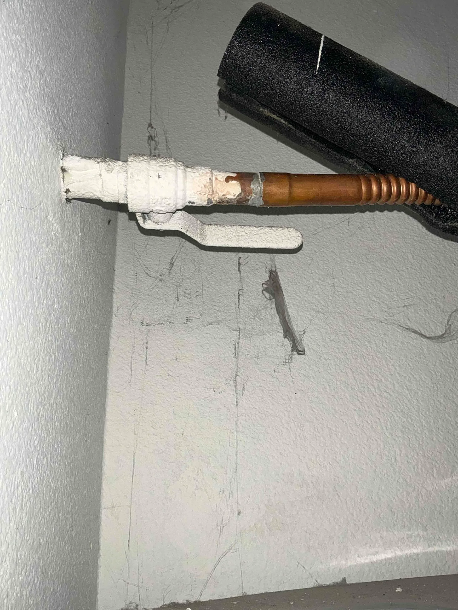 Recent Service project photo from Inglewood, California, 90305