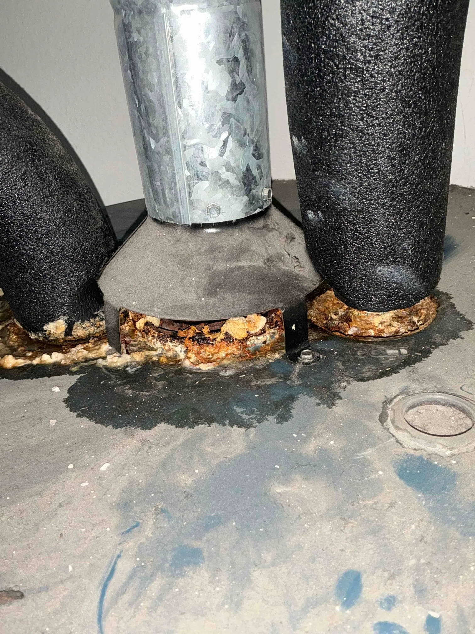 Recent Service project photo from Inglewood, California, 90305