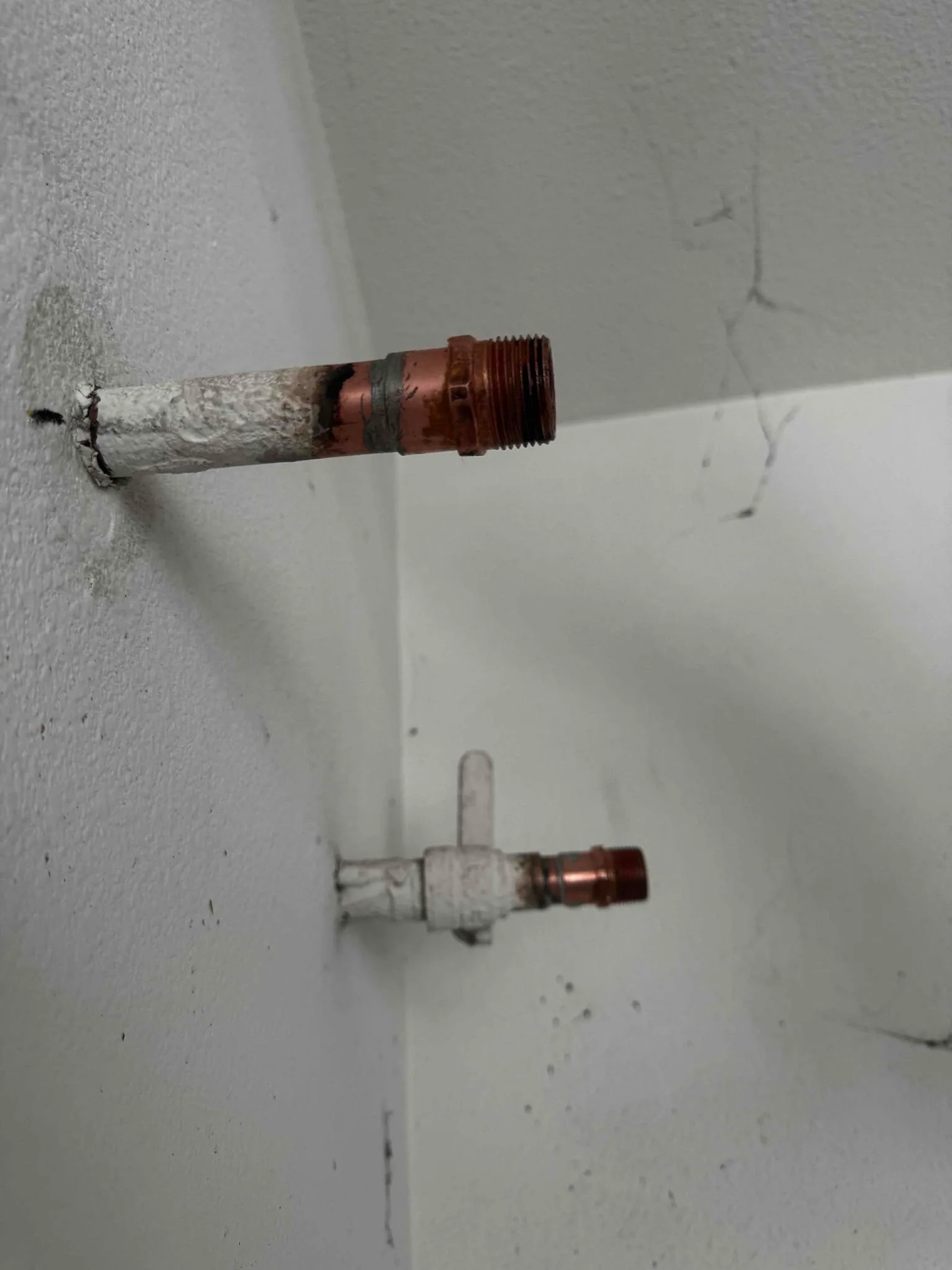 Recent Service project photo from Inglewood, California, 90305