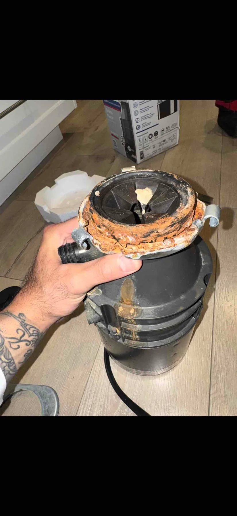 Garbage Disposal project photo from Sherman Oaks, California, 91411