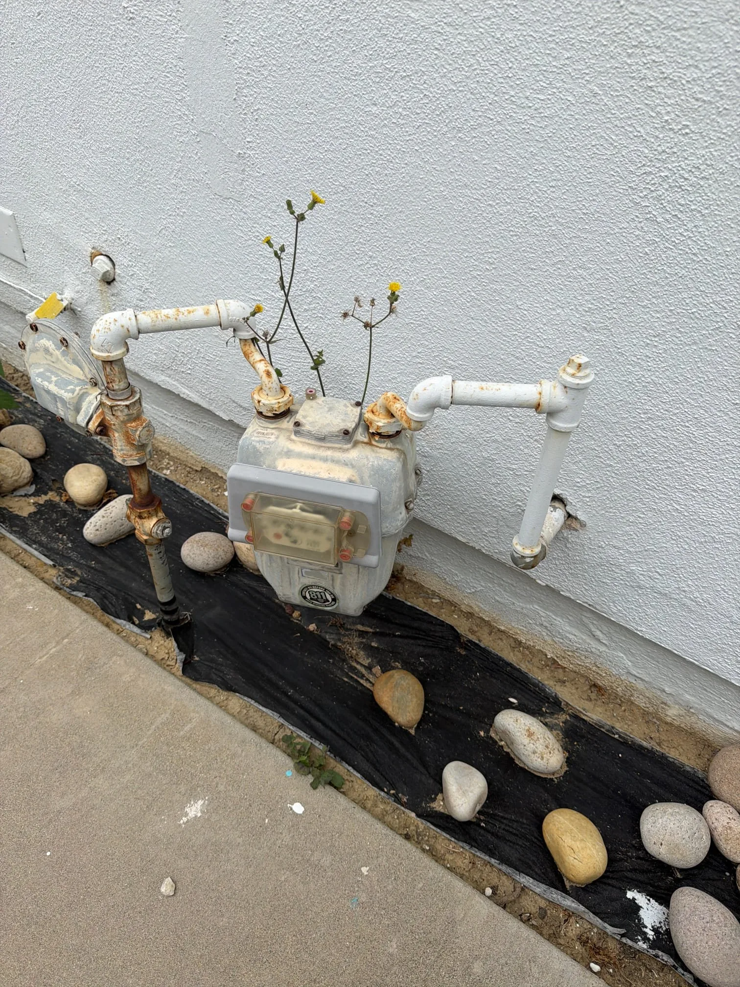 Recent Service project photo from Monterey Park, California, 91755