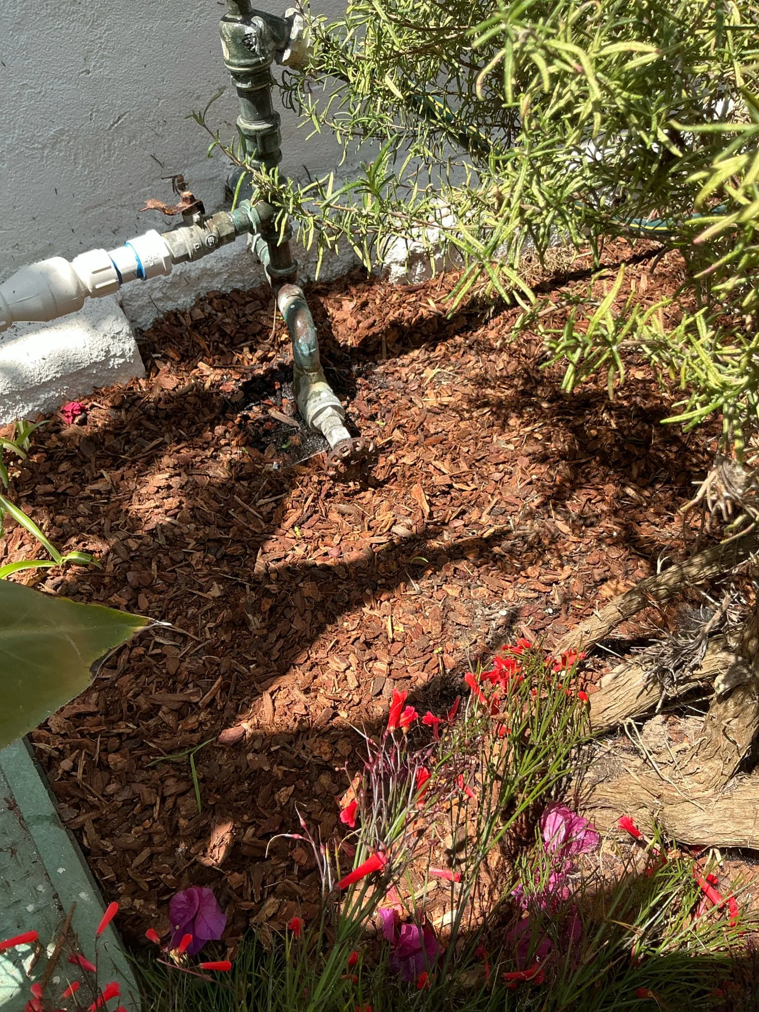 Recent Service project photo from Torrance, California, 90505