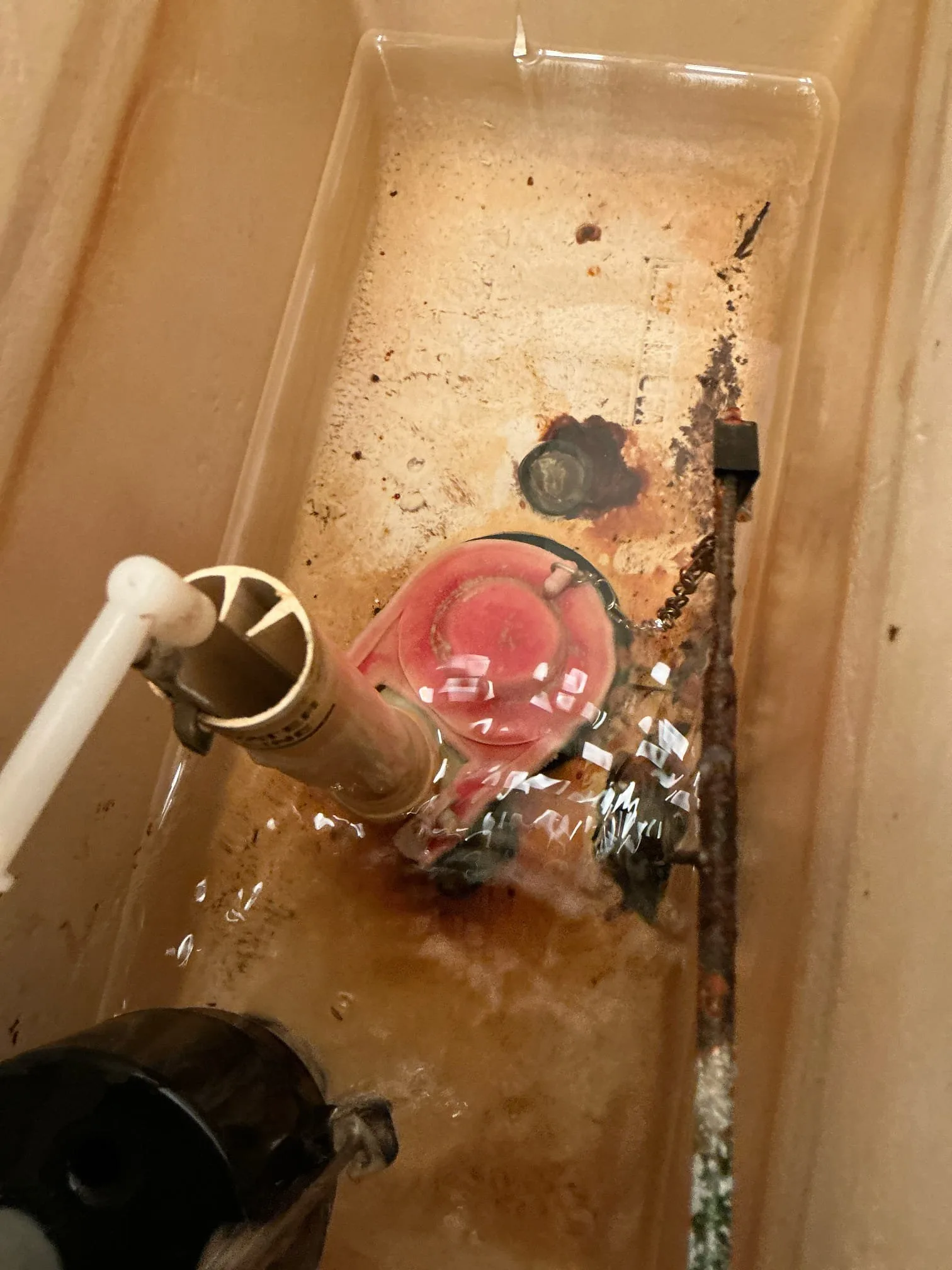 Toilet Repair project photo from Palmdale, California, 93551