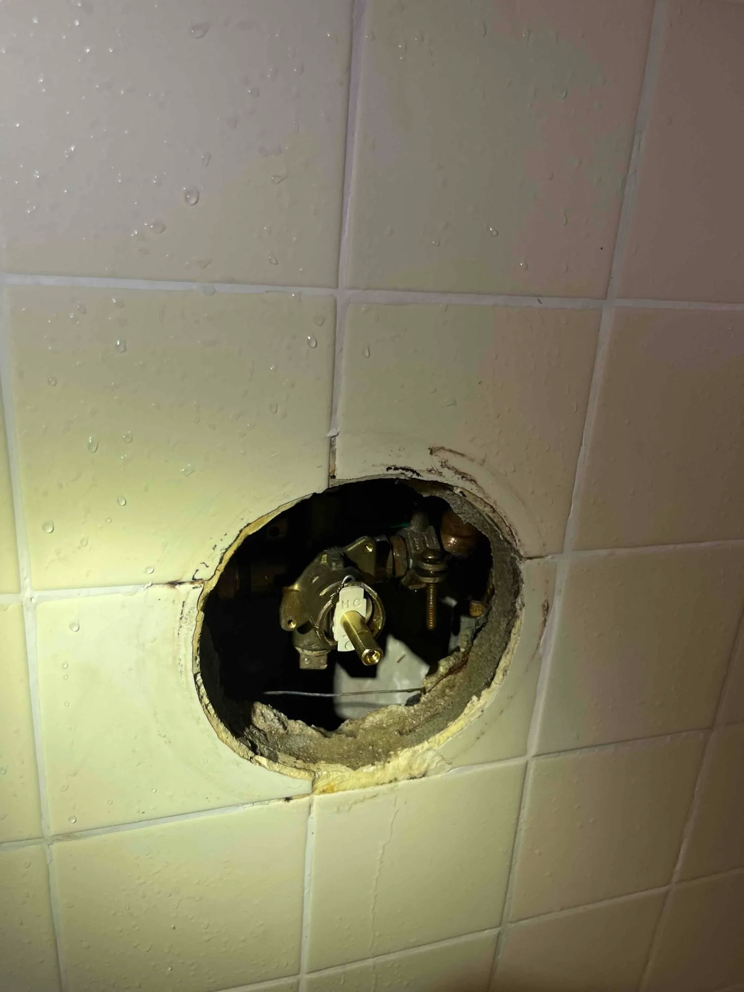 Recent Service project photo from Santa Clarita, California, 91350