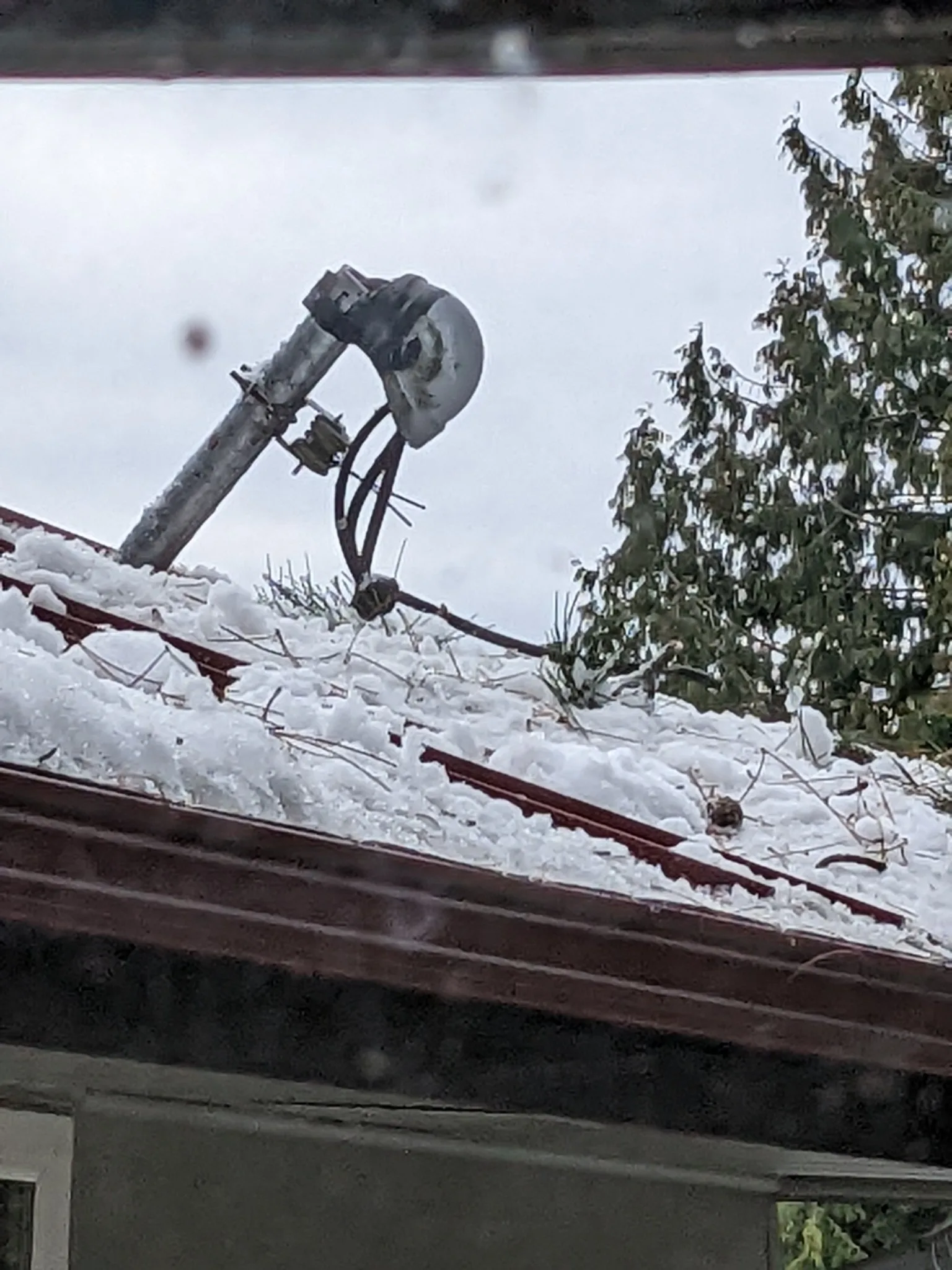 Recent Service project photo from Lynnwood, Washington, 98087